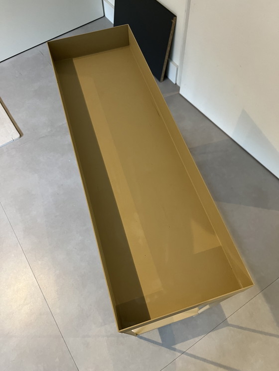 Image 1 of Felce Box per piante viventi Due