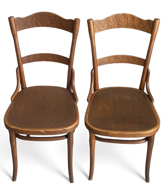 Image 1 of Zeldzame set antieke Thonet-Mundus stoelen, circa 1920 – Weense Secession elegantie in origineel gebogen hout.