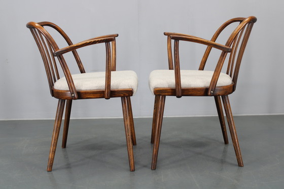 Image 1 of 1960 Antonin Suman Ensemble de six chaises de salle à manger en hêtre, restaurées