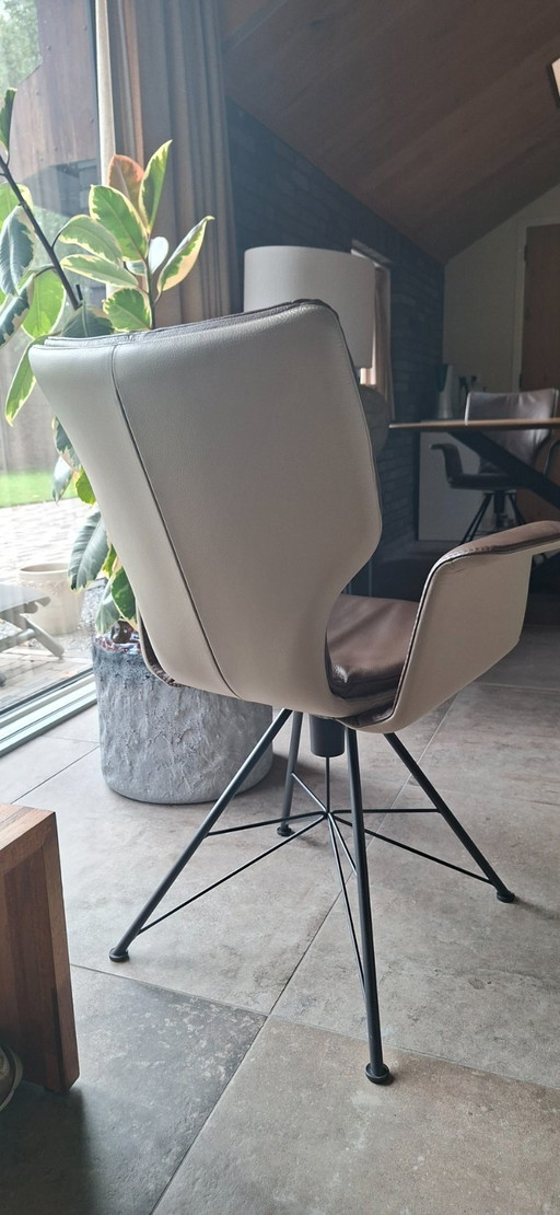 4 sedie da pranzo Bert Plantagie