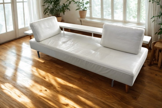 Magnifique Rolf Benz Dono Senator exclusif en parfait état – Chaises longues, Metal, Leather (photo 6 of 8)