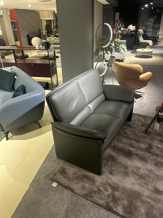 Image 1 of Leolux catalpa