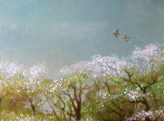 Image 1 of Spring Gardens