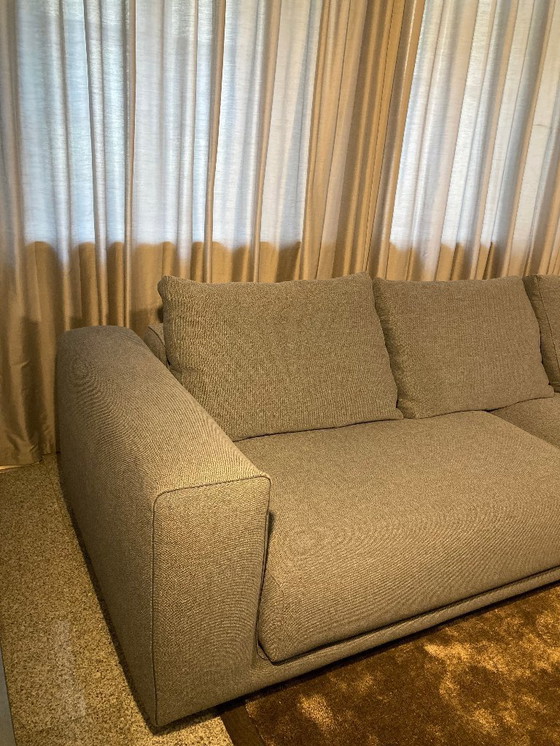 Image 1 of COR sofa Moss