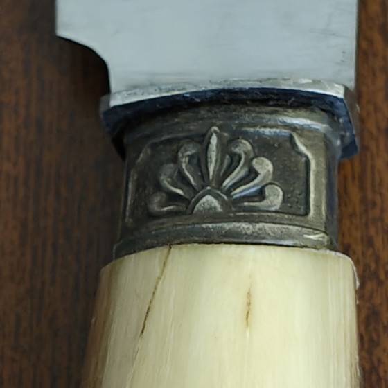 Vintage set van 11 dessertmessen met hoornen handvat – Originele presentatiekoffer – Frans roestvrij staal (photo 4 of 11)