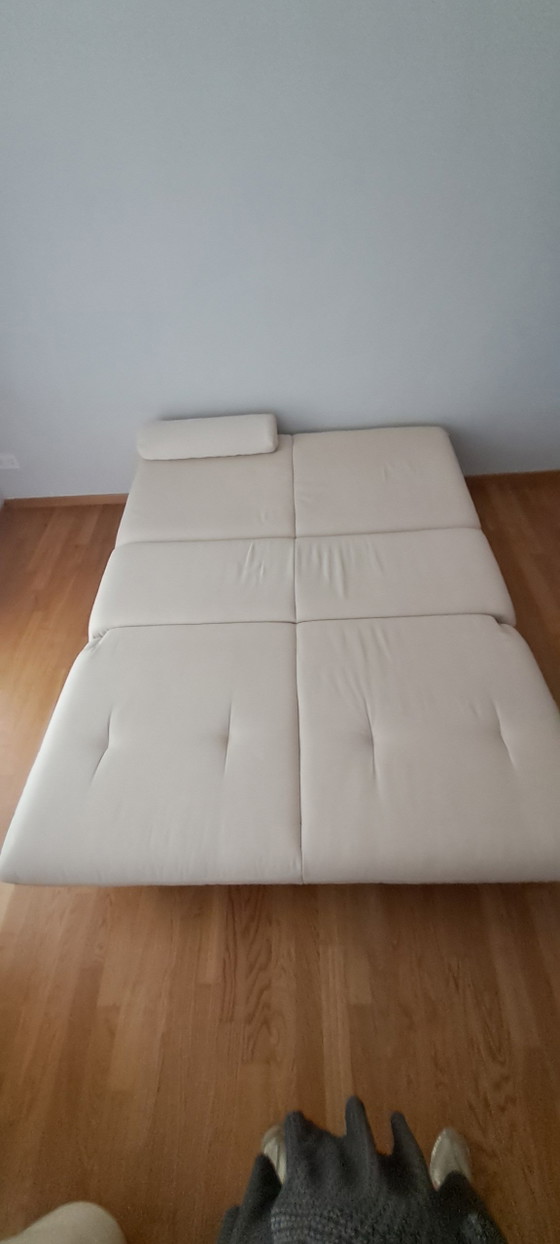 Sofá Cama de Brühl – Sofás de 2 plazas, Metal, Polyester (photo 5 of 8)