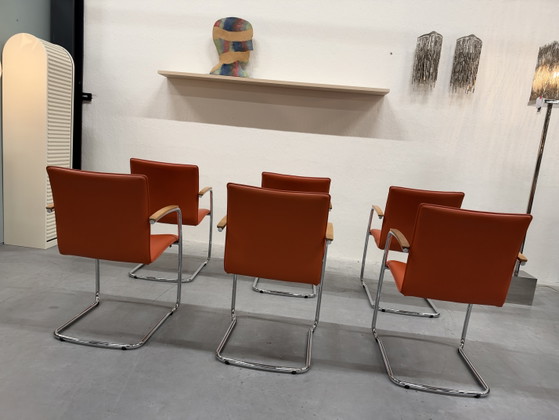 6 Leolux Freyr Chaise de salle à manger Cuir orange, Chaises de salle à manger (photo 6 sur 12)