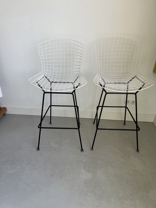 2 Harry Bertoia Barhocker