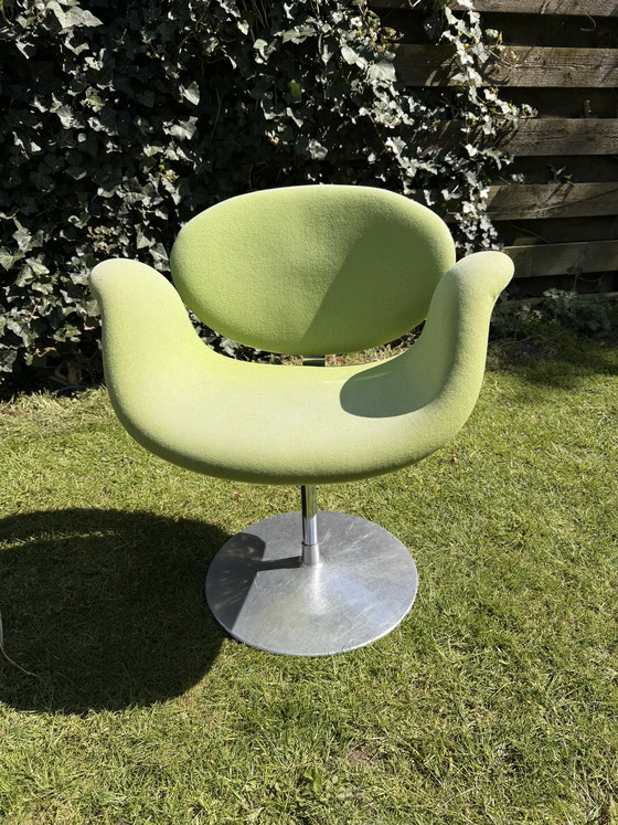 Image 1 of 6 tulipani Artifort Little Tulip (vari colori)