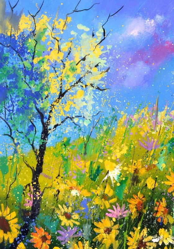 Image 1 of Gänseblümchen