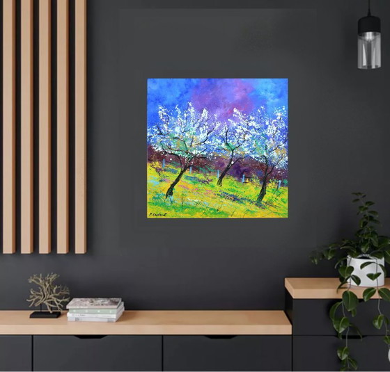 Image 1 of Frühling