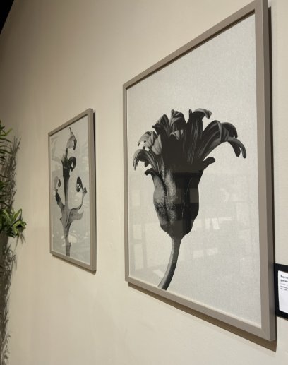 Image 1 of Boconcept - Form in der Natur Galerie