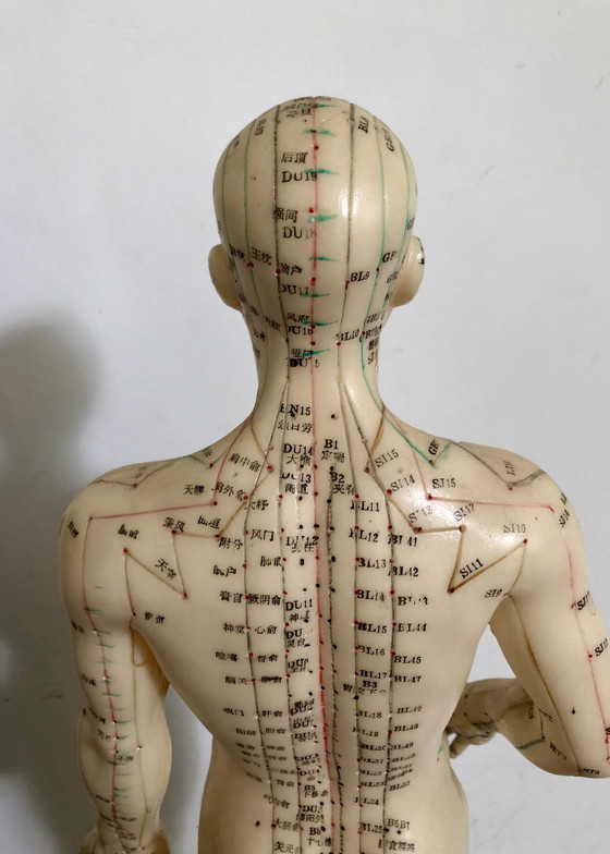 Image 1 of Beautiful Vintage Doll With Acupuncture Meridians