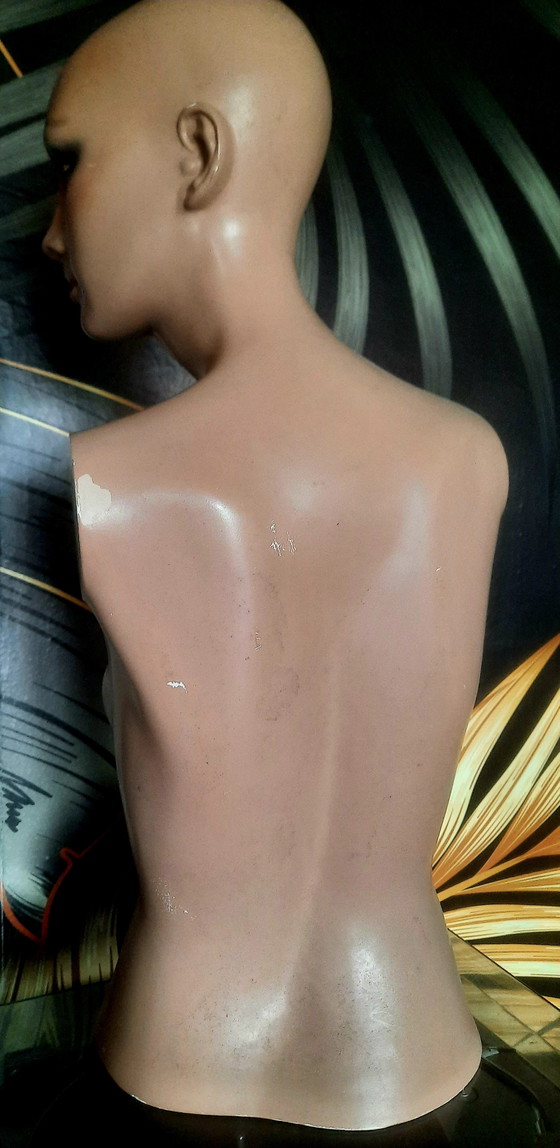 Image 1 of Mannequin torso