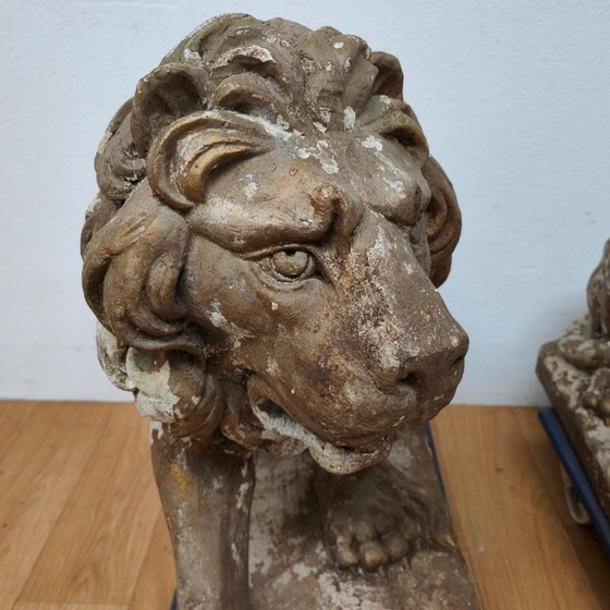 Image 1 of Set di 2 grandi statue da giardino raffiguranti un leone, ornamento da giardino in cemento.