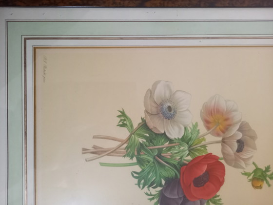 Magnifique cadre avec une œuvre de Redoute – PJ Redoute, Tirages d'art, Glass, Paper (photo 4 of 8)