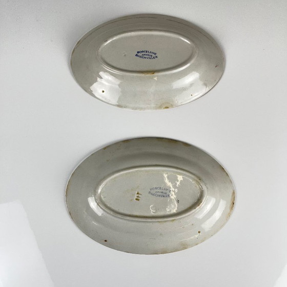 Image 1 of Coppia di piatti da portata in porcellana, Badonviller, fiore rosso, 1950