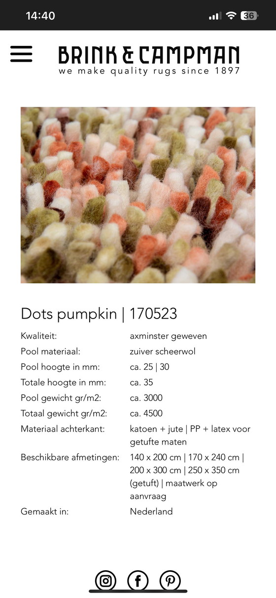 Image 1 of Brink and Campman Dots Pumpkin carpet