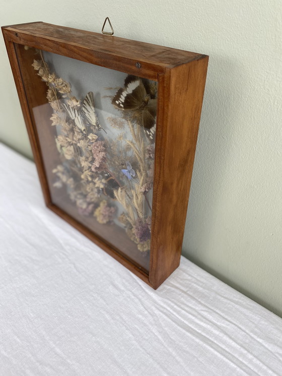 Image 1 of Eingerahmte Schmetterlinge und Blumen