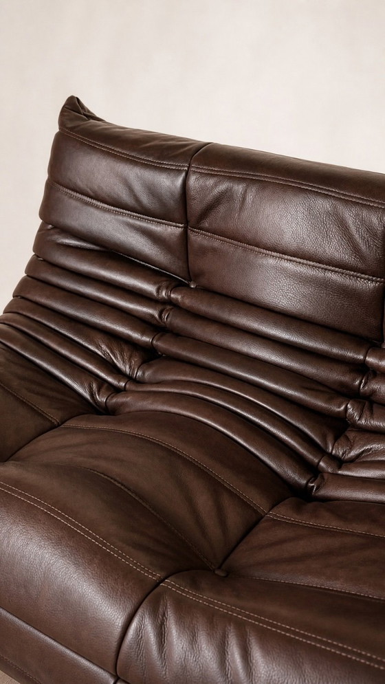 Image 1 of Michel Ducaroy / Ligne Roset 2-zitsbank in bruin leer