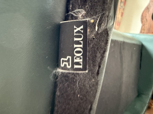 Leolux tweezitsbank in groen leer – banken, Leather