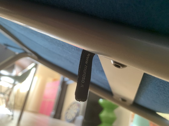 Image 1 of Moroso neemt een lijn mee voor een wandeling