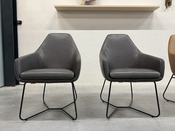 Image 1 of 4 Mostra modello Montis Lazy Vico sedie da pranzo in pelle