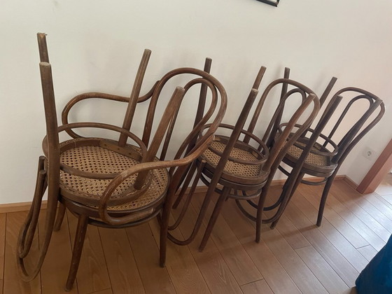 Image 1 of 6 chaises viennoises en osier Thonet, meubles en bois courbé ZPM Radomsko