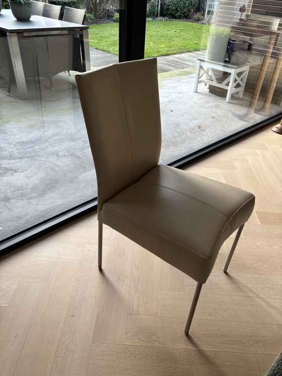 Image 1 of 4 sedie da pranzo in pelle marrone di design Framati