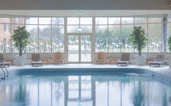 Image 1 of Piscina vuota — fotografia a colori incorniciata 70x100 cm