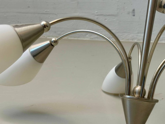 Vintage Kroonluchter met zes tulpvormige glazen kappen, jaren 60 – Glass (photo 6 of 11)