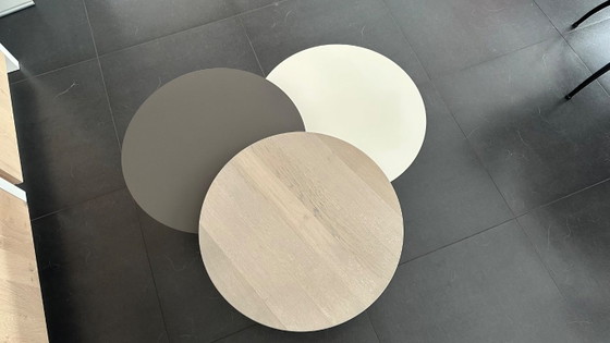 Image 1 of Leolux salontafel 'Ninfea - Rondo'