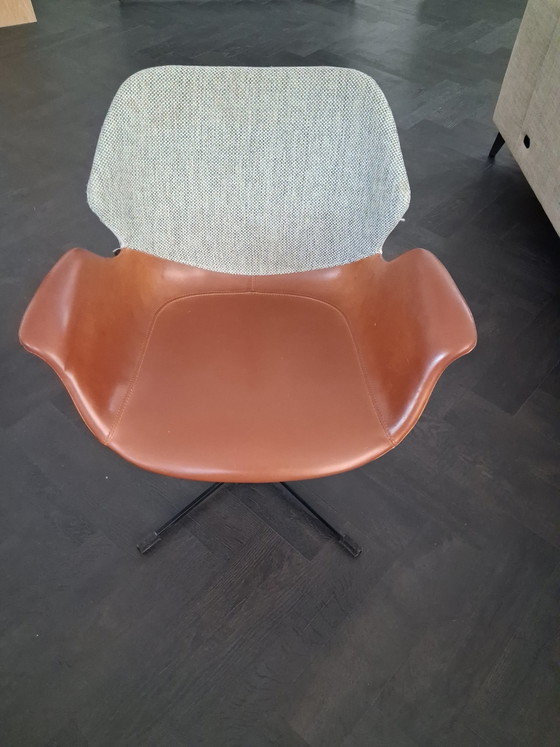 Image 1 of 6 x ZUIVER Esszimmerstühle