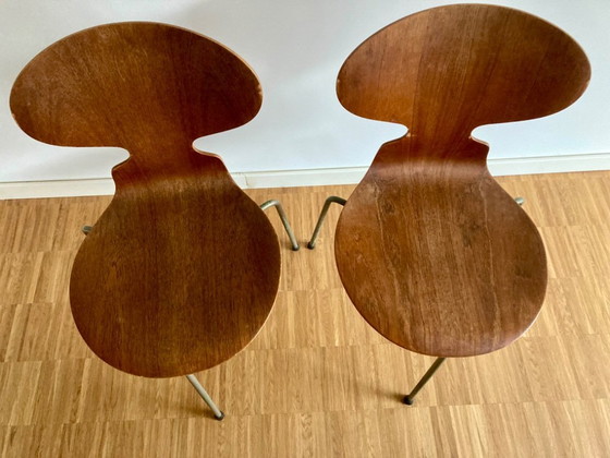 Image 1 of 2x silla Arne Jacobson Ant, originales ( años 50 )