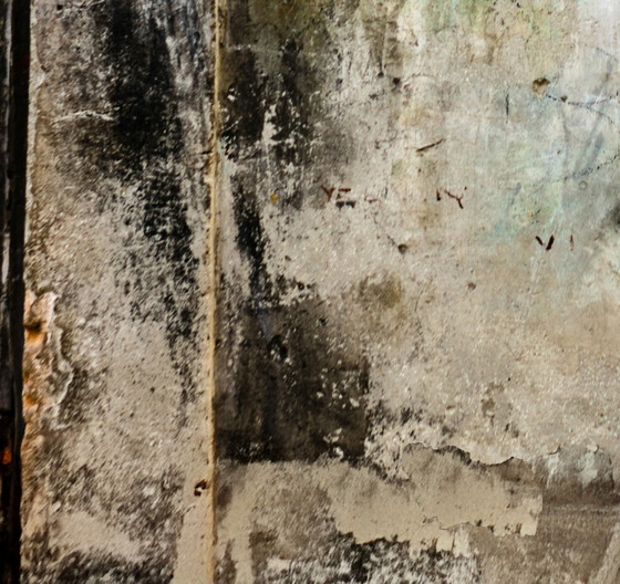 Image 1 of Wouter van Donselaar - Face 103