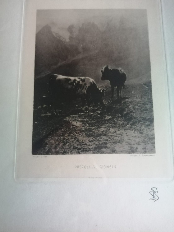 Image 1 of Photogravure of Cesare Schiaparelli photo G.Rey