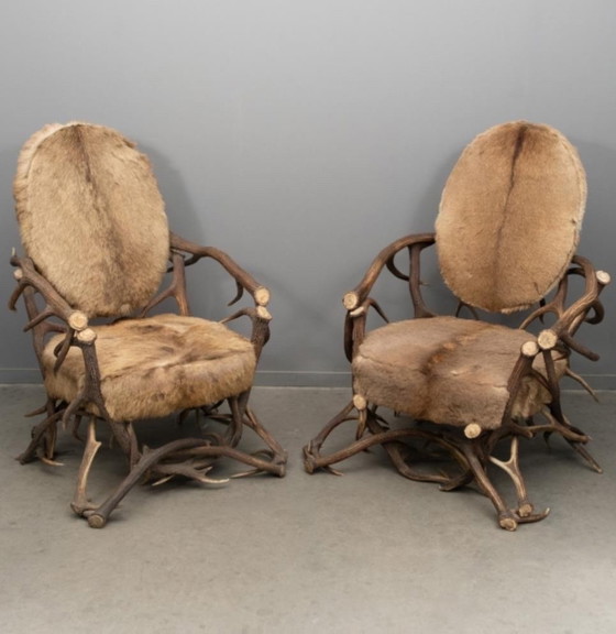 Image 1 of Coppia di poltrone antiche uniche con corna di cervo