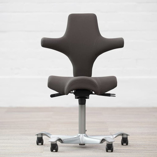 Hag Capisco Ergonomic Office Chair