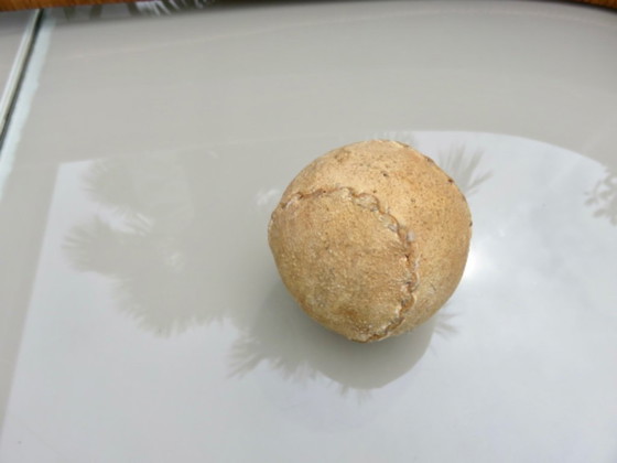 Image 1 of Ancienne chistera grand gant et sa balle (pelote) 65cm, Pays Basque, Jaï Alaï, Cesta Punta