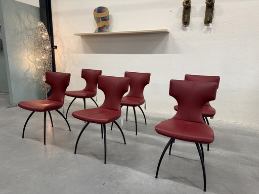 6 Leolux Callas dining chair Senso Brick