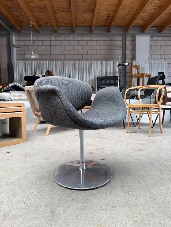 Image 1 of 4x Piccolo tulipano Artifort