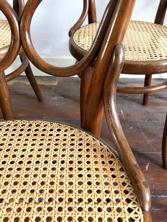 Image 1 of Seltene antike Thonet „Omega“ Modell 20, 5x Esszimmerstuhl aus Bugholz und Gurtband