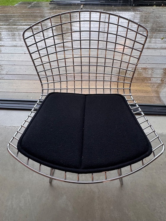 6 Knoll Bertoia – Esszimmerstühle, Eisen, Stoff (photo 2 of 5)
