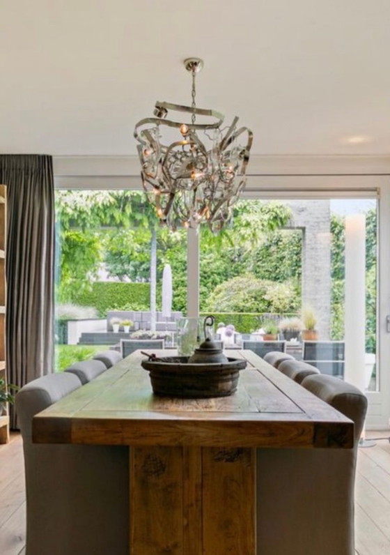 Image 1 of Brand van Egmond Delpinium