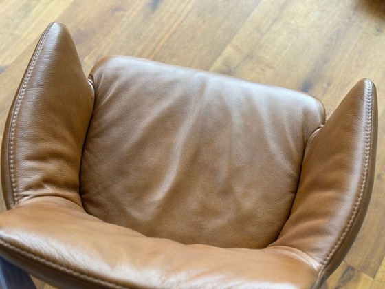 Maple and set – Bert Plantagie, Dining chairs, Textile, Lambskin (photo 4 of 6)