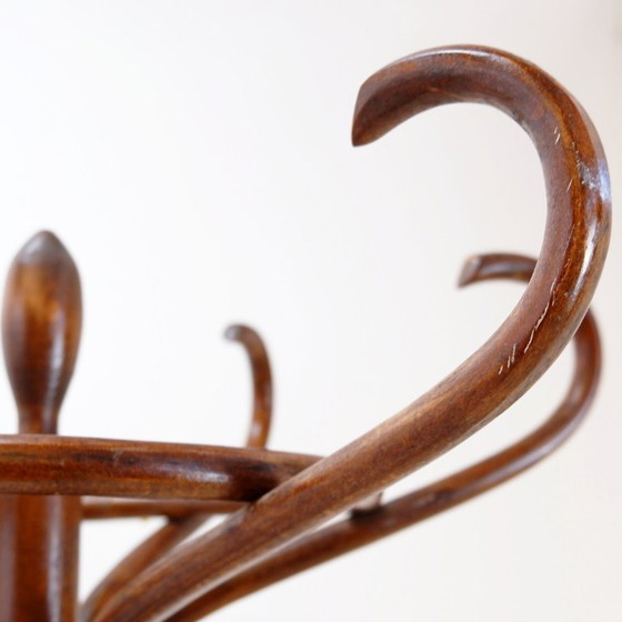 Image 1 of Appendiabiti a pappagallo in legno curvato vintage - stile Thonet