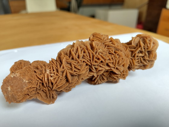 Image 1 of Rosa di sabbia rosa del deserto rosa di gesso lunga 15 cm