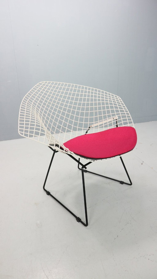 Diamond chair by Harry Bertoia in white & black metal and new seating 1960s