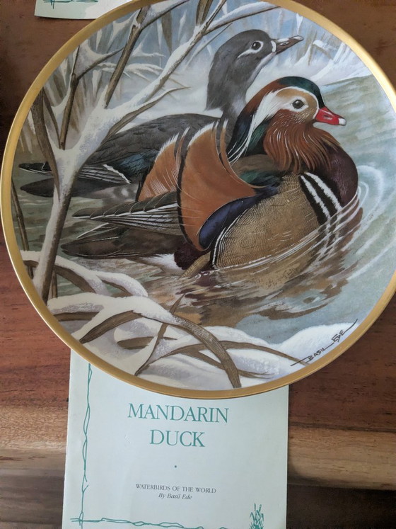Image 1 of Basil Ede Oiseaux d'eau du monde, ensemble de 12 pièces avec système de suspension