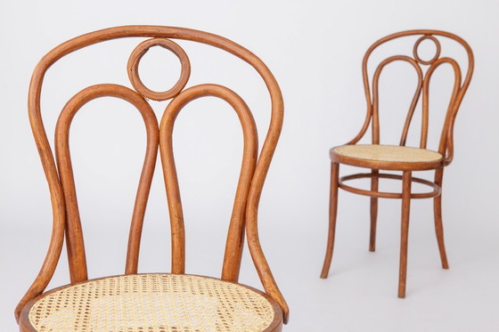 Image 1 of Set of 2 Bentwood Angel Chairs 1940s, Vienna Cane Seats, Stained Beech Wood, Vintage Dining Chairs